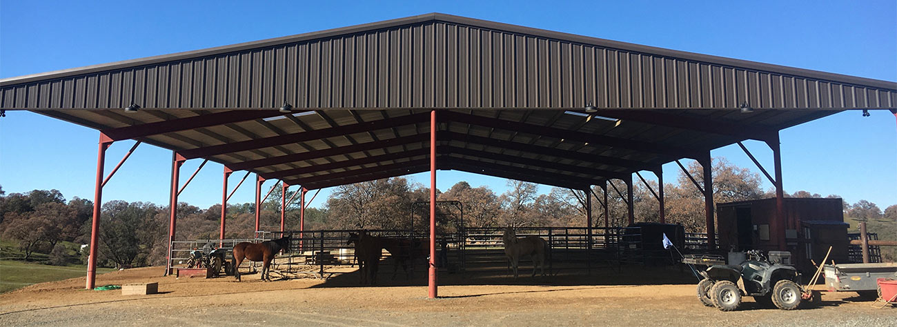 bauhr ranch stables 